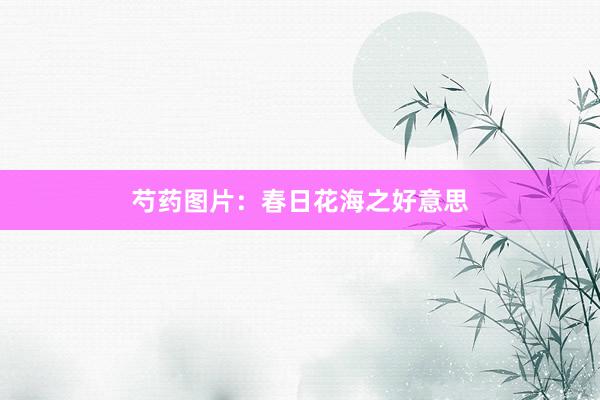 芍药图片：春日花海之好意思
