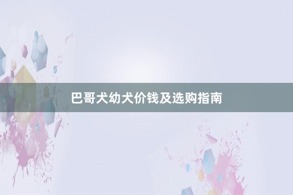巴哥犬幼犬价钱及选购指南