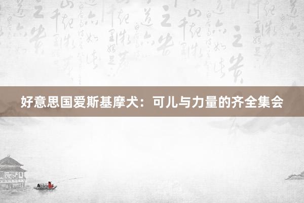 好意思国爱斯基摩犬：可儿与力量的齐全集会